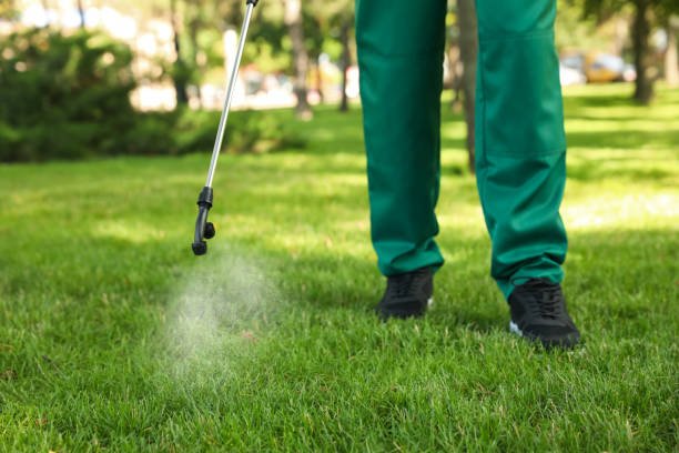 Best Residential Pest Control  in Coal Grove, OH