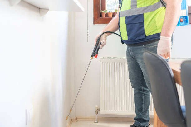 Best Flea Control Services  in Coal Grove, OH