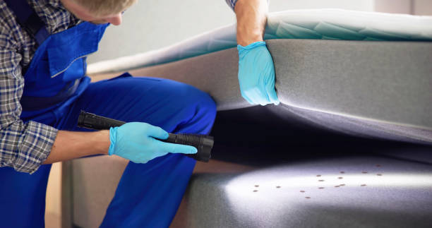 Best Pest Removal Services  in Coal Grove, OH