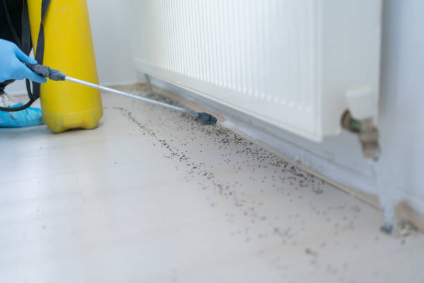 Reliable Coal Grove, OH Pest Control Solutions